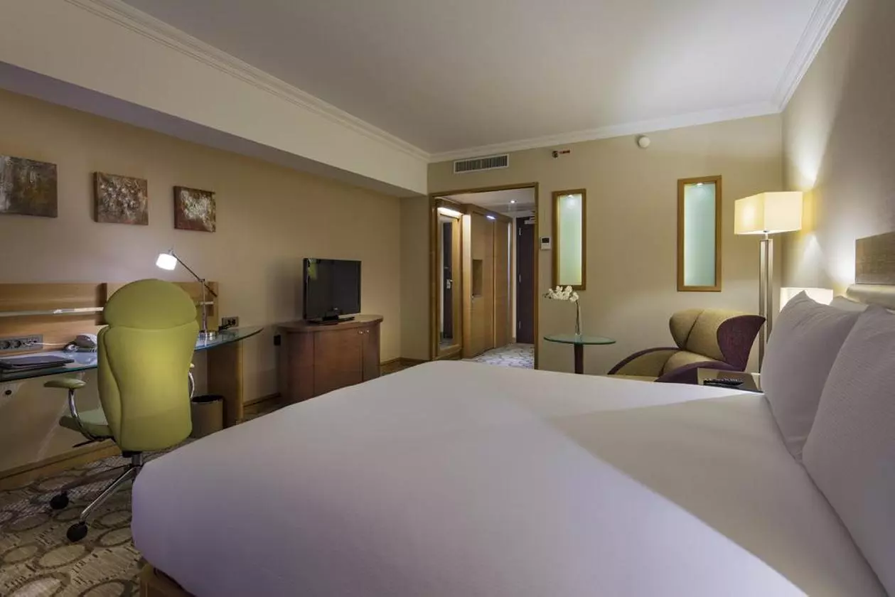 hilton_shabaviz (11).jpg